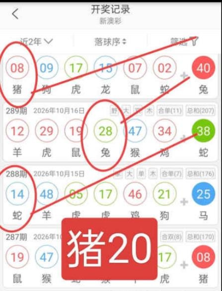 规律03