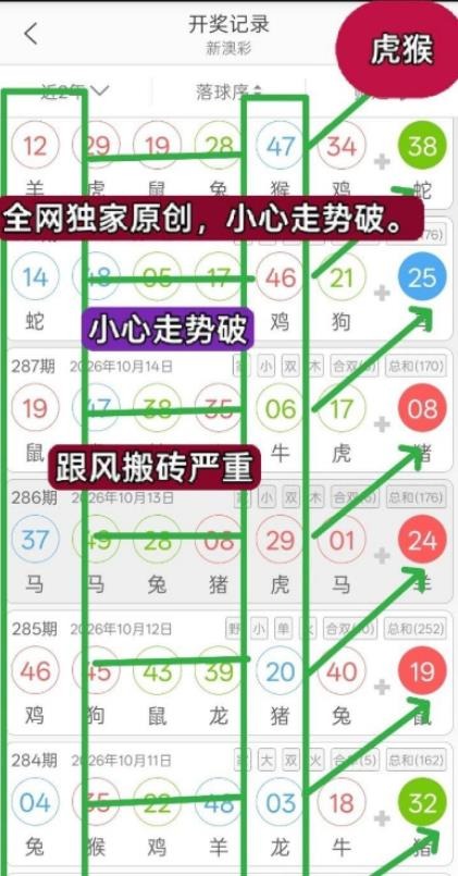 规律05