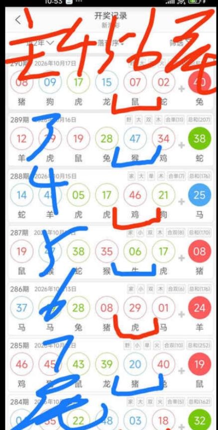 规律05